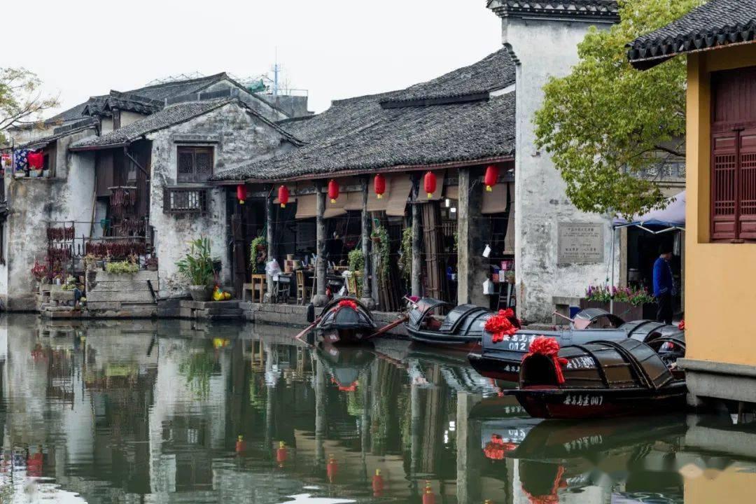解救金刚鹦鹉